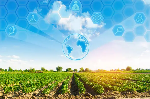 Lush green fields with modern irrigation systems
