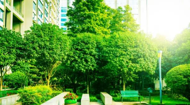 Lush urban park with people enjoying nature